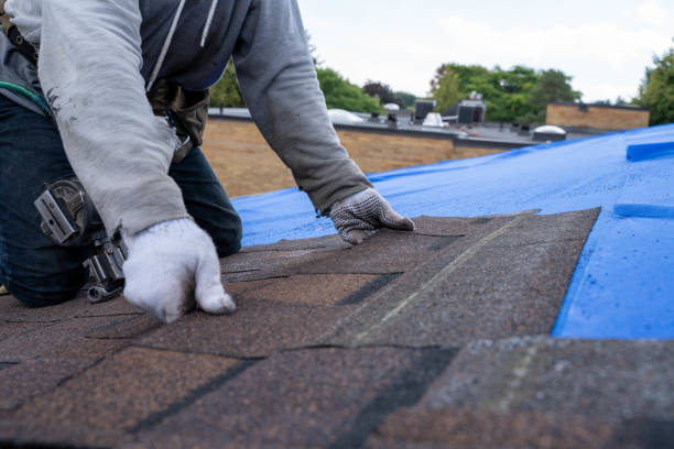 Best Storm Damage Roof Repair  in Amsterdam, NY