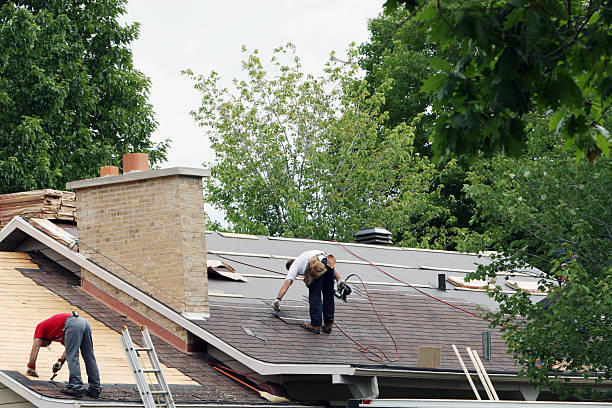 Best Roof Gutter Cleaning  in Amsterdam, NY